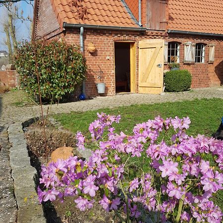 Ferienhaus Voern-Diek Hohnstorf Zewnętrze zdjęcie