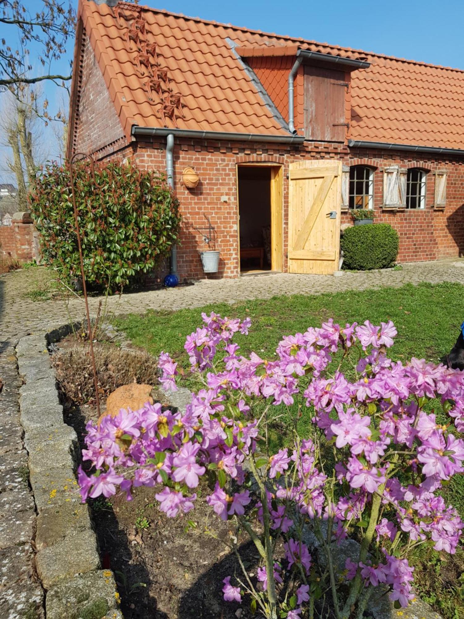 Ferienhaus Voern-Diek Hohnstorf Zewnętrze zdjęcie